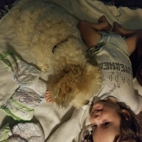 Meet your Posher, Sunny - Picture 2 of 2